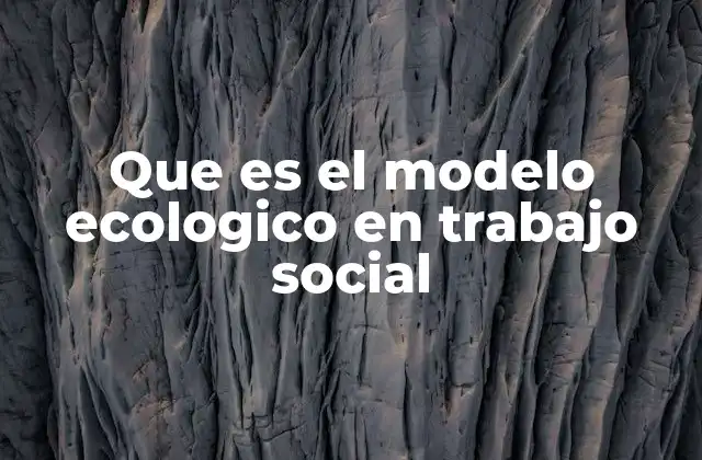 Que es el Modelo Ecologico en Trabajo Social