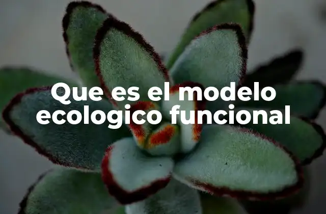 Que es el Modelo Ecologico Funcional