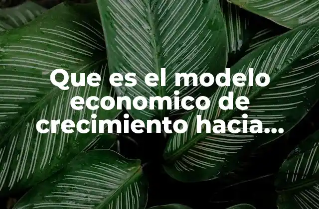 Que es el Modelo Economico de Crecimiento hacia Afuera