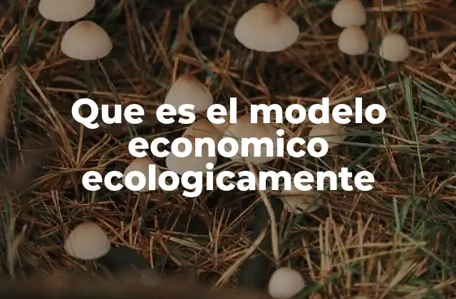 Que es el Modelo Economico Ecologicamente