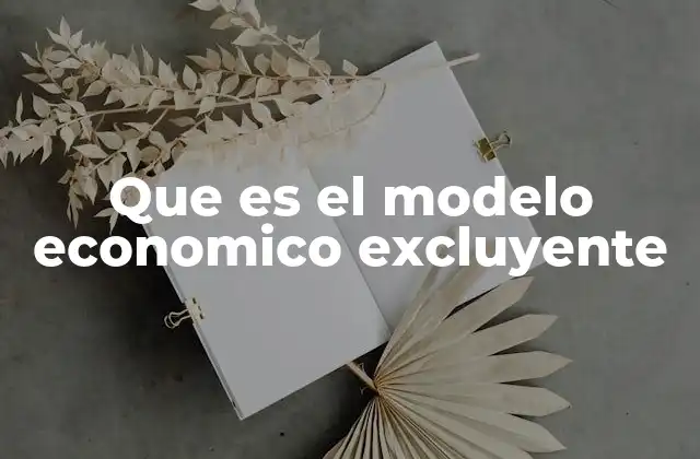 Que es el Modelo Economico Excluyente