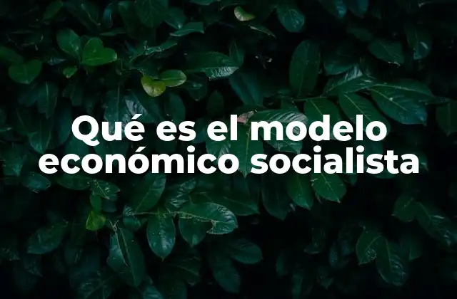 Qué es el Modelo Económico Socialista