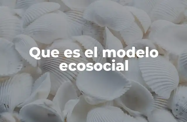Que es el Modelo Ecosocial