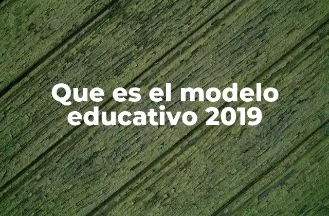 Que es el Modelo Educativo 2019