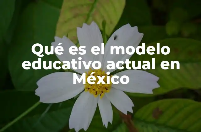 Qué es el Modelo Educativo Actual en México