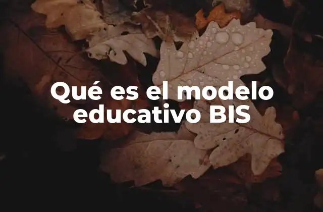 El enfoque BIS y su impacto en la educación actual