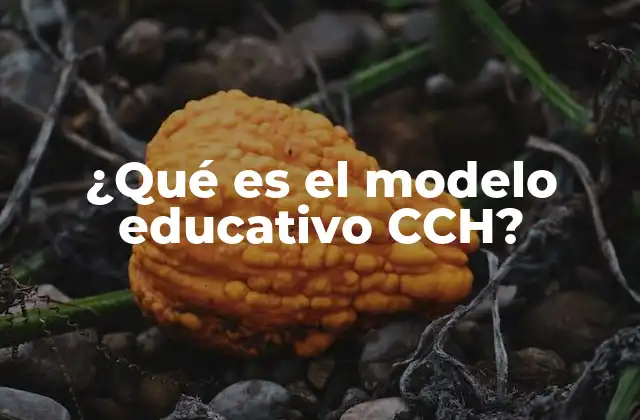 Características del enfoque pedagógico del CCH
