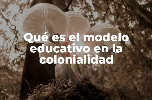 Qué es el Modelo Educativo en la Colonialidad