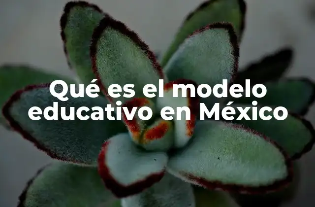 Qué es el Modelo Educativo en México