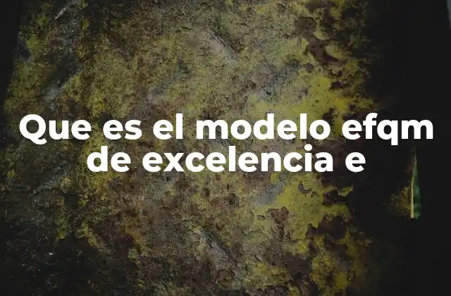 Que es el Modelo Efqm de Excelencia e