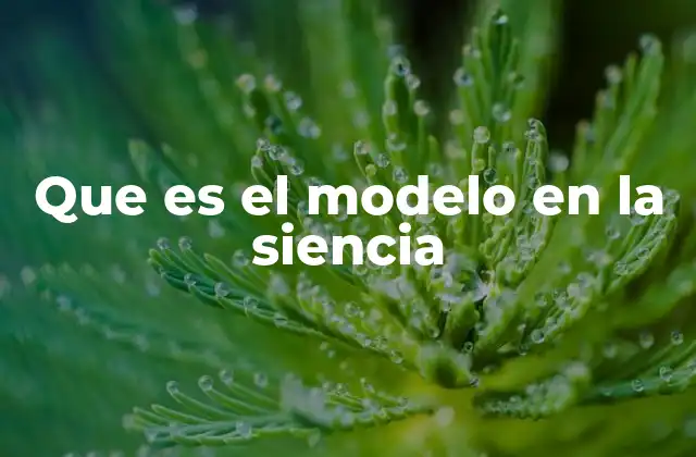 Que es el Modelo en la Siencia