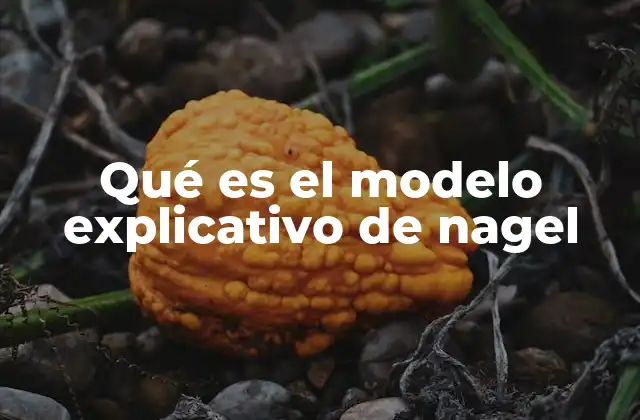La estructura lógica del modelo de Nagel