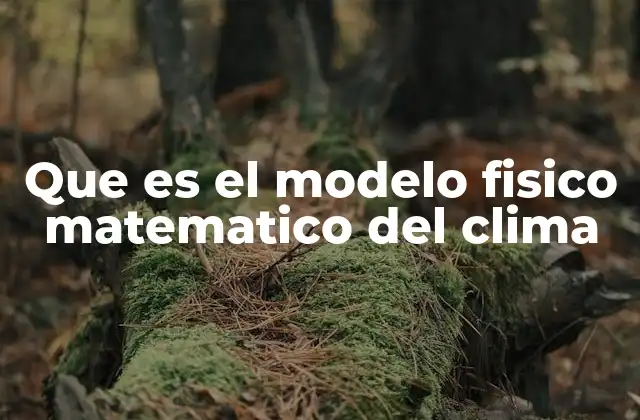 Que es el Modelo Fisico Matematico Del Clima