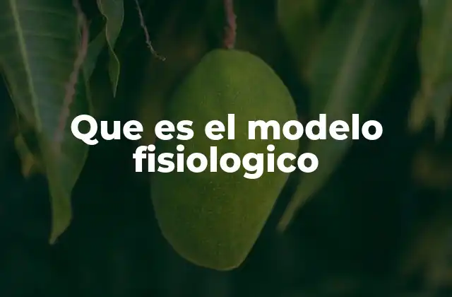 Que es el Modelo Fisiologico
