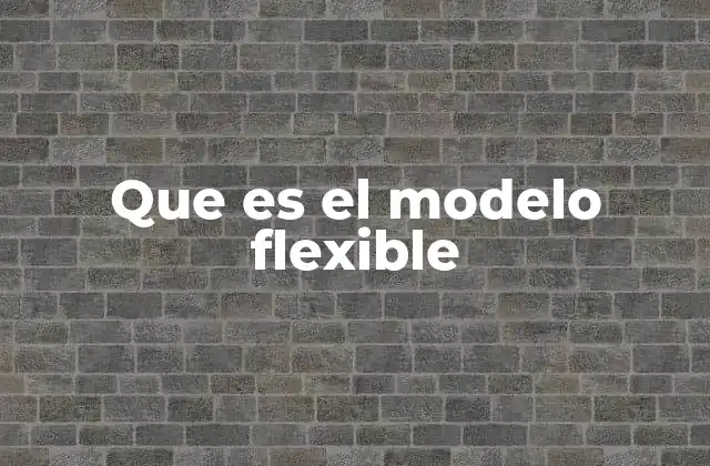 Que es el Modelo Flexible 2 Adaptación y evolución en entornos dinámicos