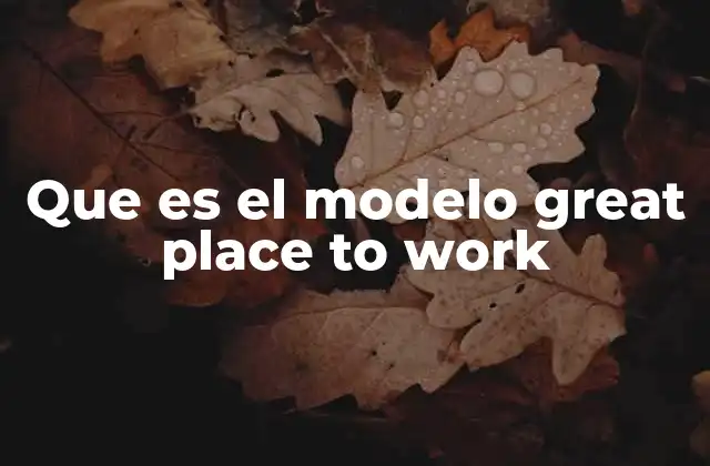 Que es el Modelo Great Place To Work