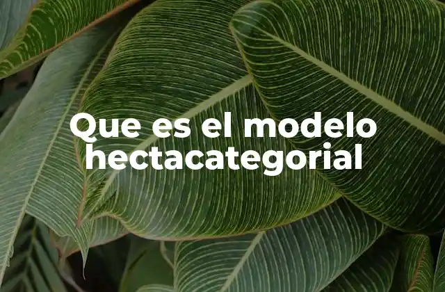 Que es el Modelo Hectacategorial 2 Cómo se aplica el modelo hectacategorial en la teoría de categorías