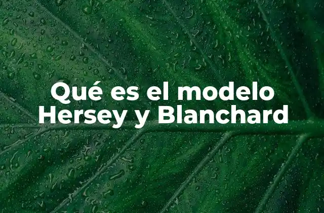 Qué es el Modelo Hersey y Blanchard