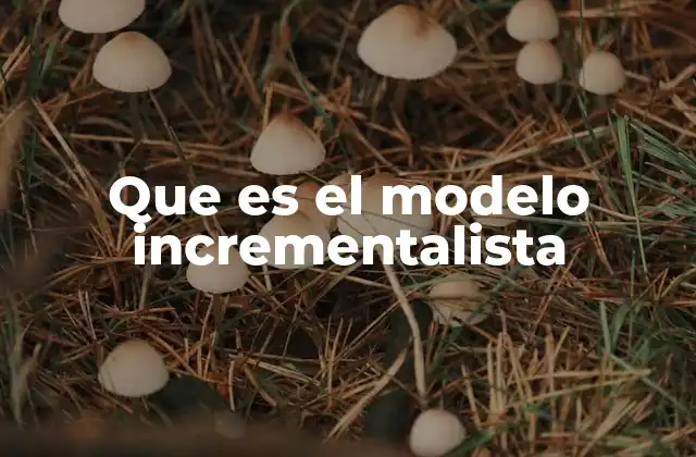 Que es el Modelo Incrementalista