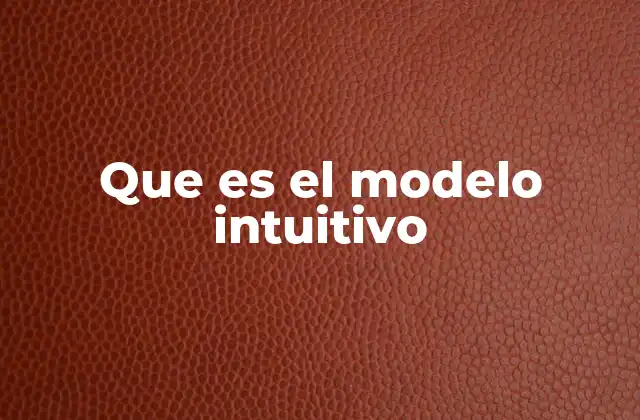 Que es el Modelo Intuitivo