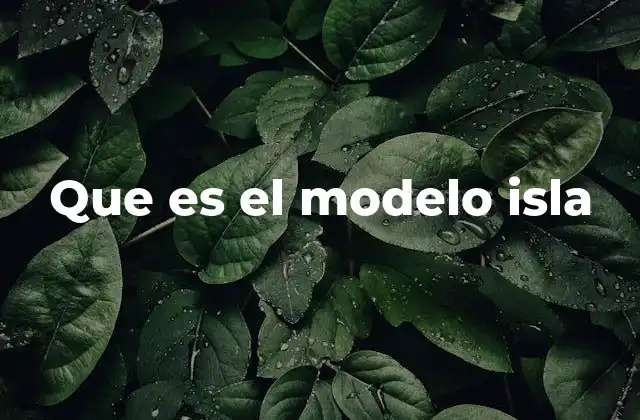 Que es el Modelo Isla