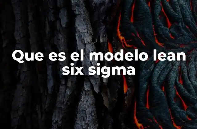 Que es el Modelo Lean Six Sigma