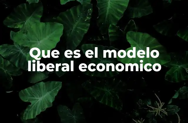 Que es el Modelo Liberal Economico