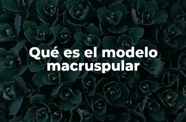 Qué es el Modelo Macruspular