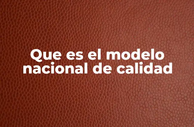 Que es el Modelo Nacional de Calidad