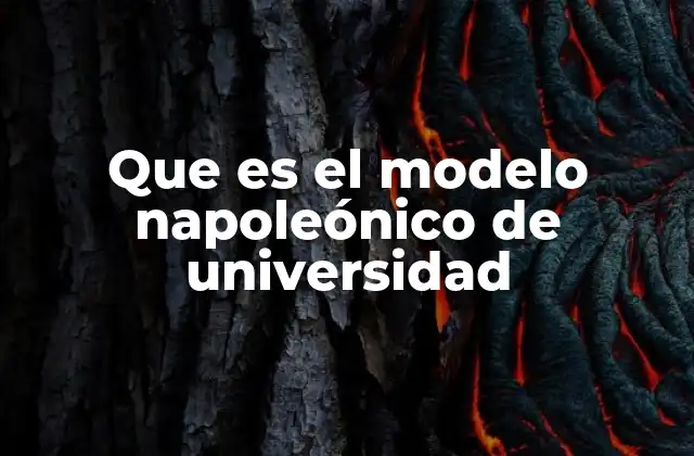 El papel del Estado en la educación superior durante el modelo napoleónico