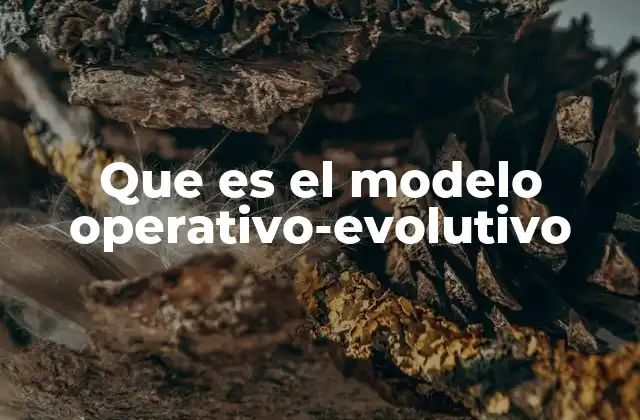 Que es el Modelo Operativo-evolutivo