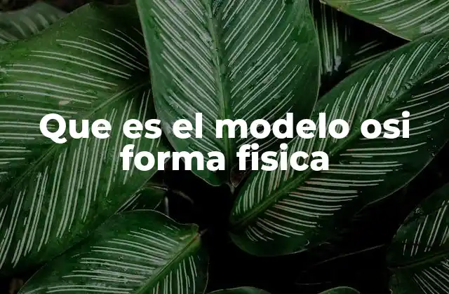 Que es el Modelo Osi Forma Fisica