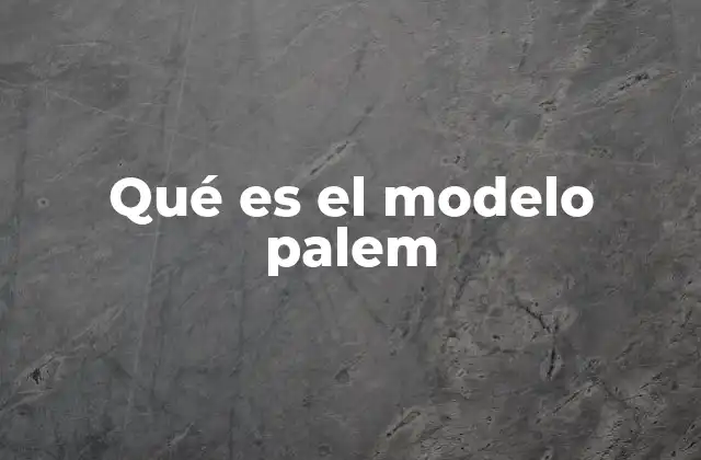 Qué es el Modelo Palem