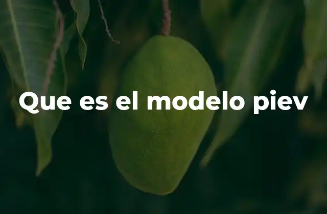 Que es el Modelo Piev