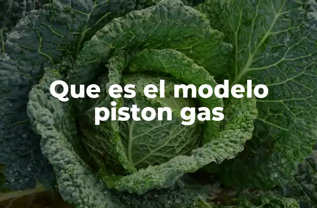 Que es el Modelo Piston Gas