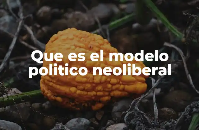 Que es el Modelo Politico Neoliberal