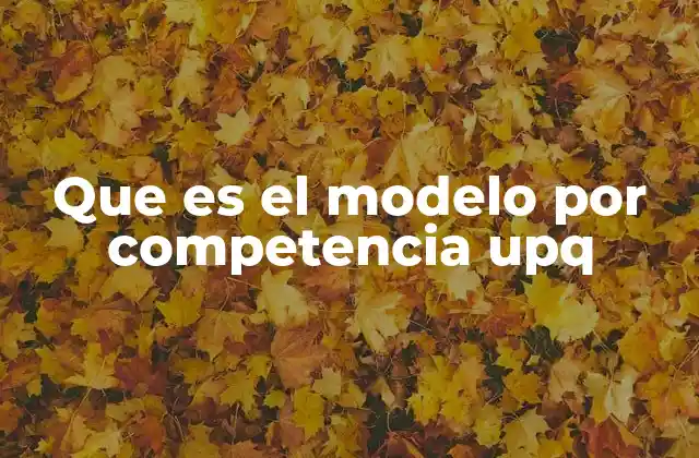 Que es el Modelo por Competencia Upq