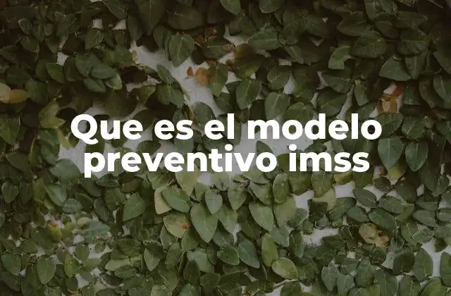 El enfoque integral del modelo preventivo