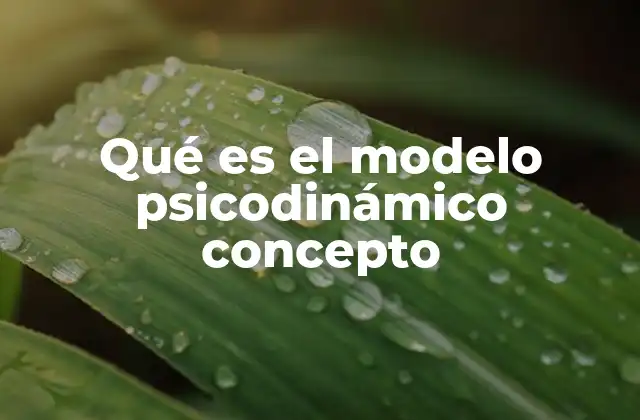 Qué es el Modelo Psicodinámico Concepto 2 Orígenes y evolución del modelo psicodinámico