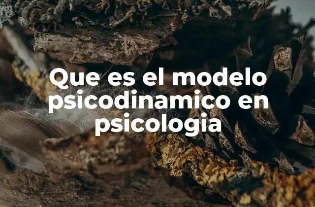 Que es el Modelo Psicodinamico en Psicologia