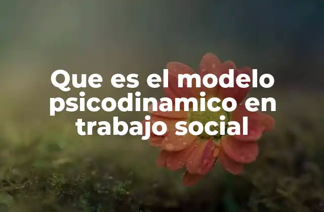 Que es el Modelo Psicodinamico en Trabajo Social