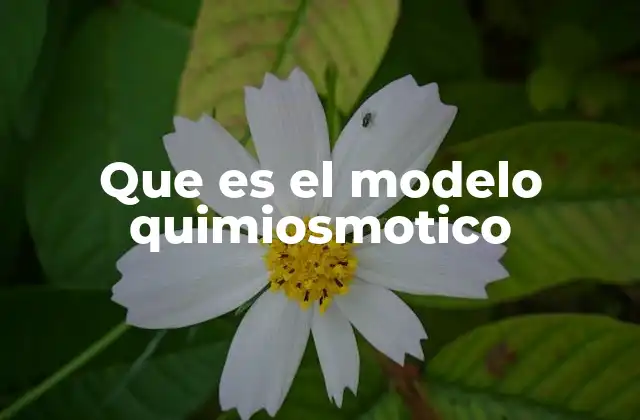 Que es el Modelo Quimiosmotico