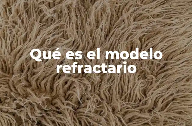 Qué es el Modelo Refractario