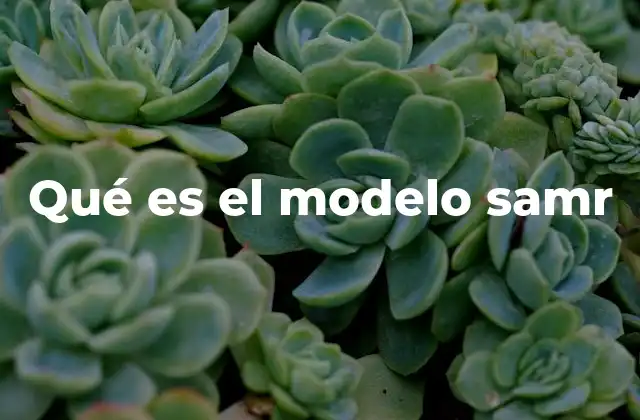 Qué es el Modelo Samr