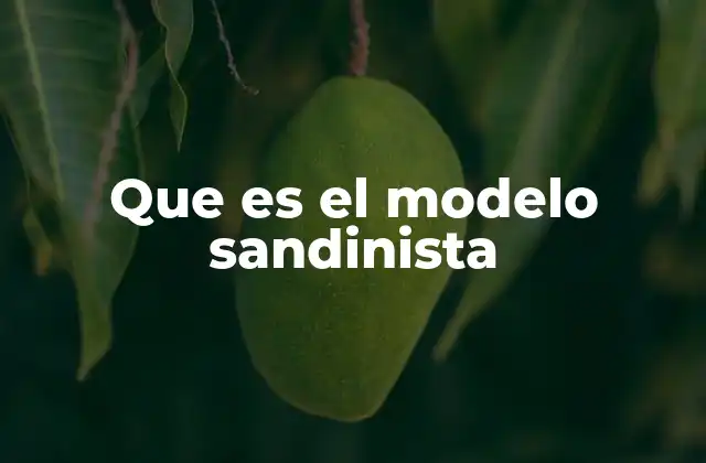 Que es el Modelo Sandinista