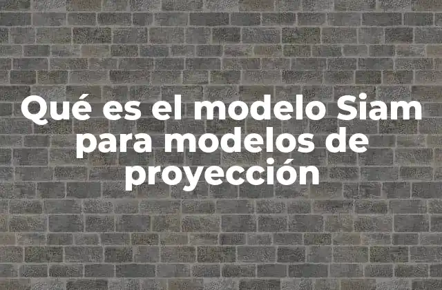 Qué es el Modelo Siam para Modelos de Proyección