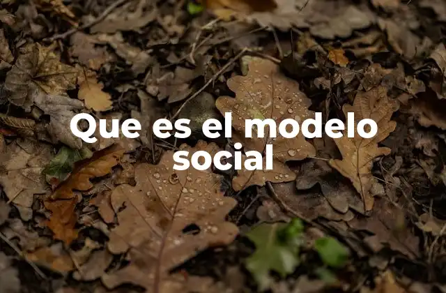Que es el Modelo Social
