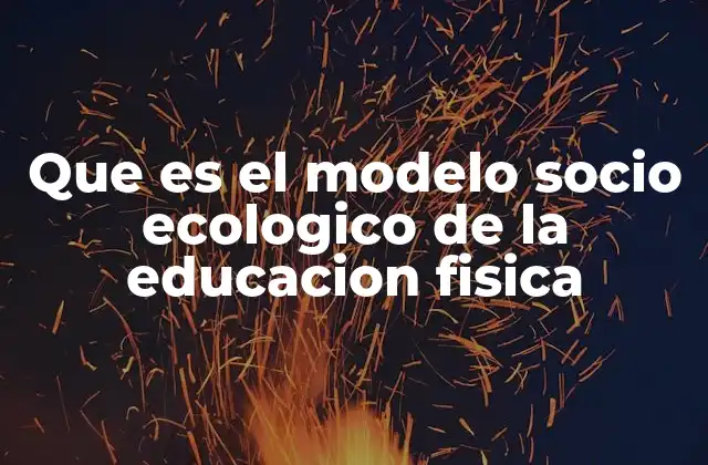 La educación física como un fenómeno multidimensional