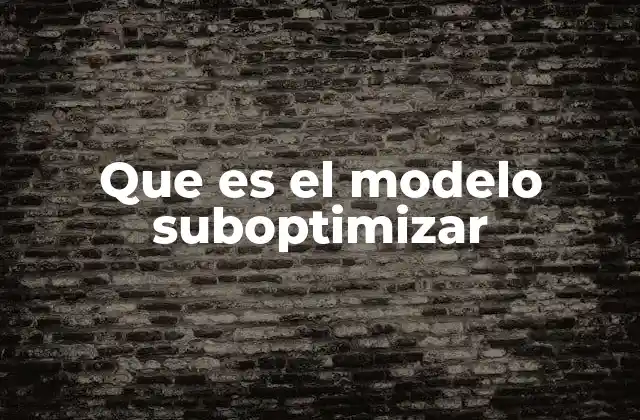 Que es el Modelo Suboptimizar
