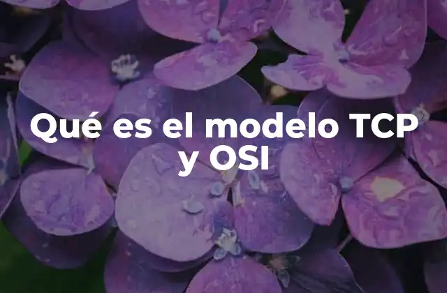 Qué es el Modelo Tcp y Osi